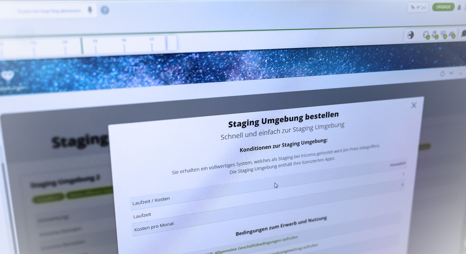 Staging Umgebung bestellen