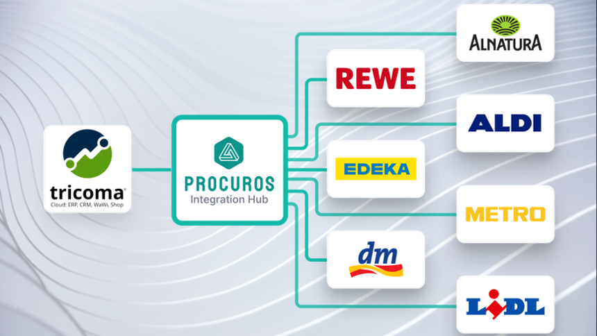 Plug-and-Play EDI Modul von Procuros - Use case Plug-and-Play EDI Modul von Procuros - Use case