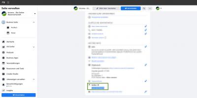 Anfragen aus Facebook Leads Ads direkt an tricoma als CRM senden